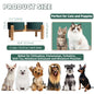 Elevated Ceramic Dog Bowl Set - Double Dog Feeding Bowls - Raised Feeding Bowls with Non-Slip Bamboo Stand - 28.74oz Suitable for Small And Medium Dogs - 16.23oz Ideal for Cats And Puppies, Food Bowls for Dogs, Slow Feeder Do