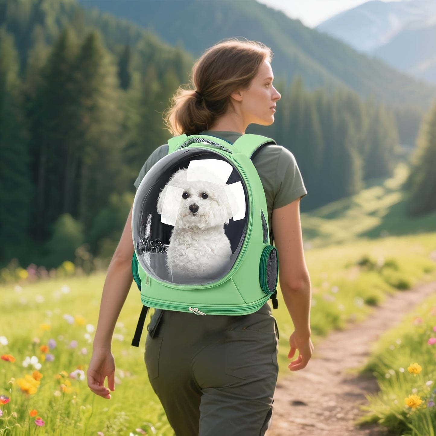 Pet Backpack for Cats, Featuring a Transparent Space Capsule Design, Safety Hook, And Breathable Material. Ideal for Small Dogs And for cats, Perfect for Travel, Hiking, Walking, And Camping. A Must-Have Accessory for Cat Own