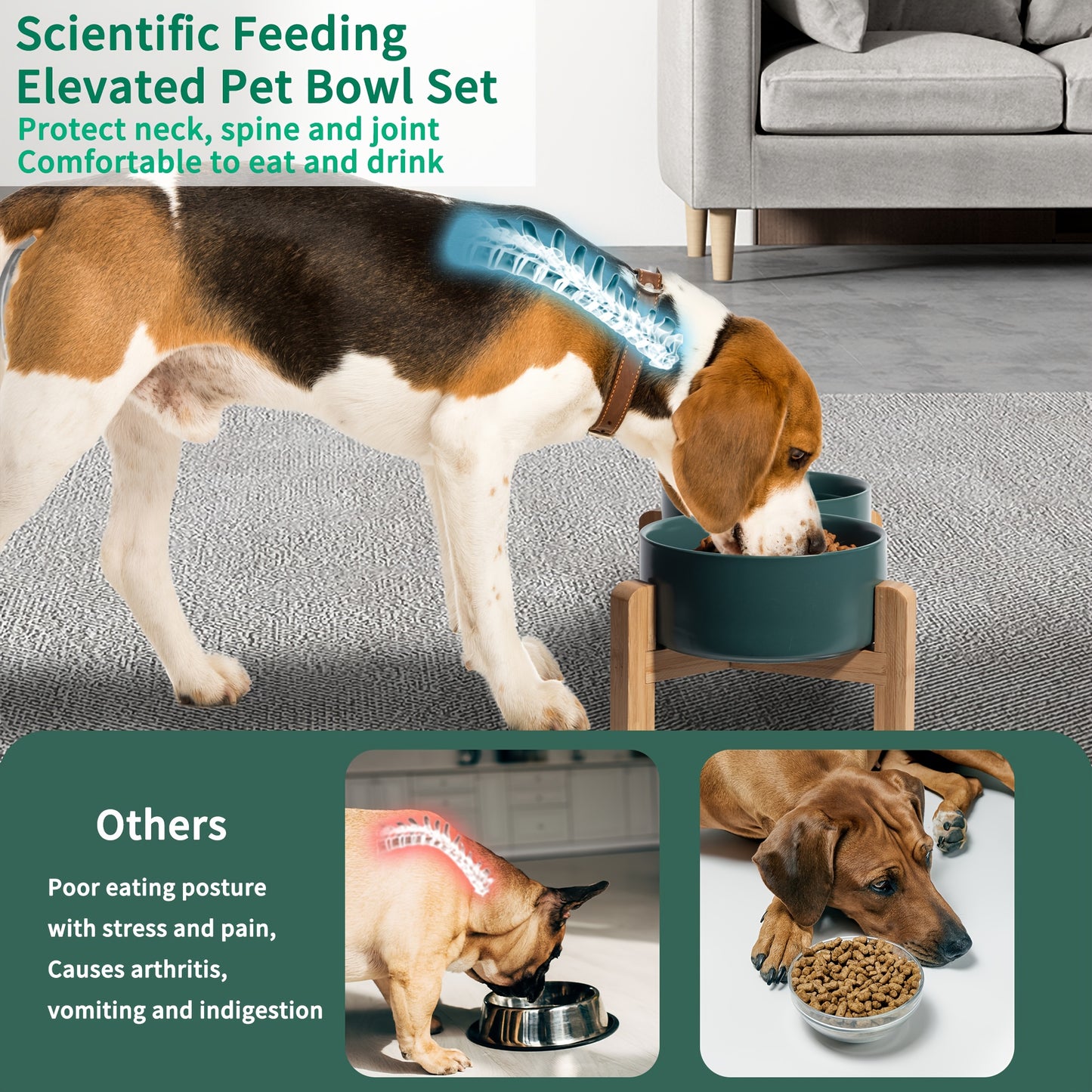 Elevated Ceramic Dog Bowl Set - Double Dog Feeding Bowls - Raised Feeding Bowls with Non-Slip Bamboo Stand - 28.74oz Suitable for Small And Medium Dogs - 16.23oz Ideal for Cats And Puppies, Food Bowls for Dogs, Slow Feeder Do