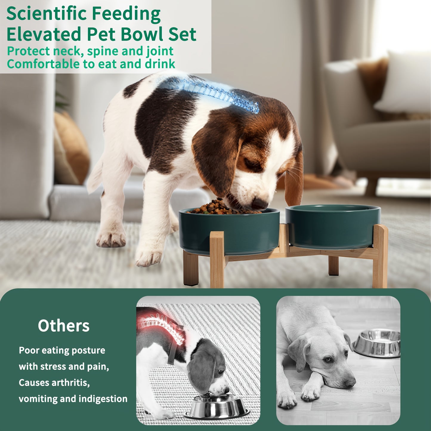 Elevated Ceramic Dog Bowl Set - Double Dog Feeding Bowls - Raised Feeding Bowls with Non-Slip Bamboo Stand - 28.74oz Suitable for Small And Medium Dogs - 16.23oz Ideal for Cats And Puppies, Food Bowls for Dogs, Slow Feeder Do