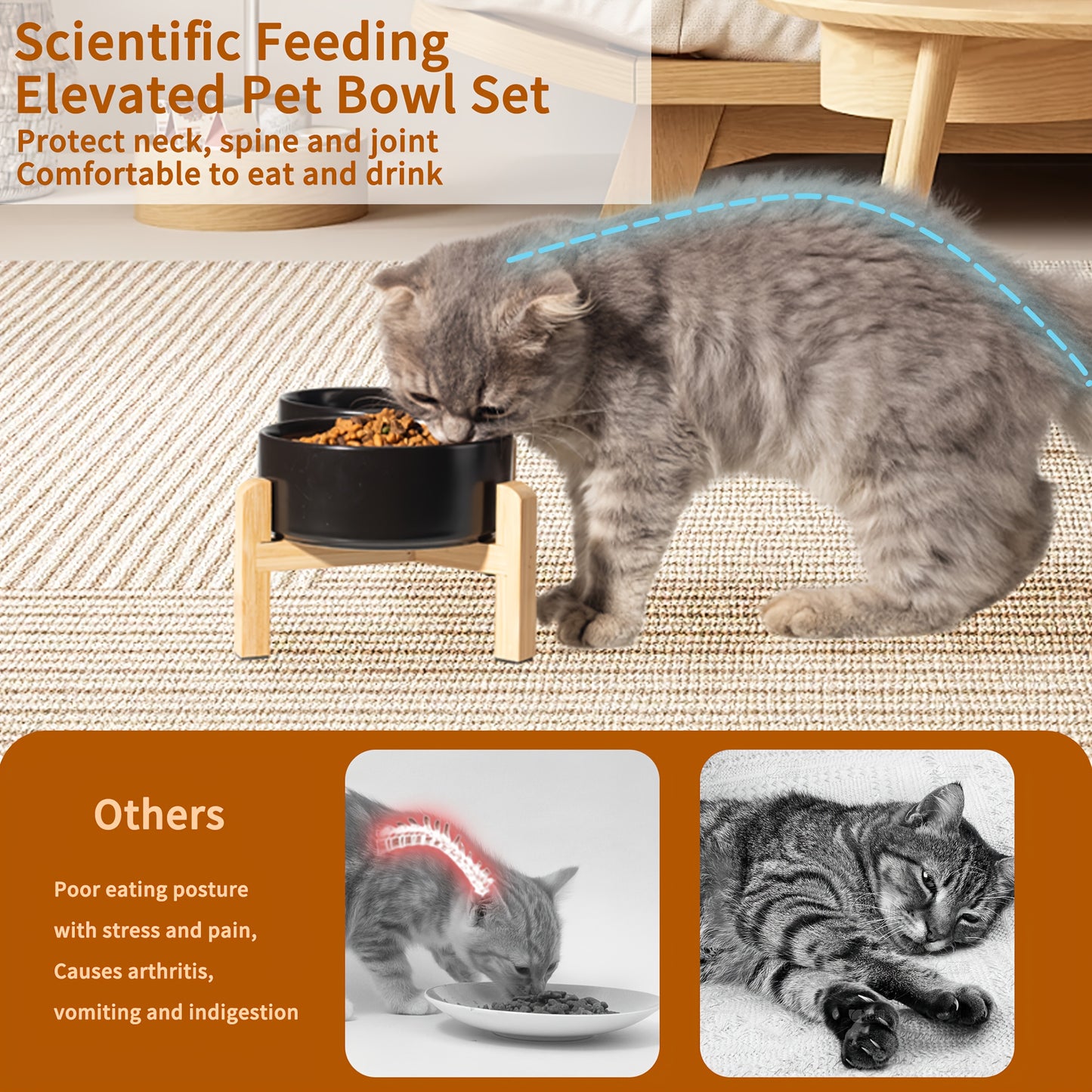 Elevated Ceramic Dog Bowl Set - Double Dog Feeding Bowls - Raised Feeding Bowls with Non-Slip Bamboo Stand - 28.74oz Suitable for Small And Medium Dogs - 16.23oz Ideal for Cats And Puppies, Food Bowls for Dogs, Slow Feeder Do