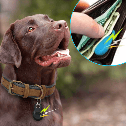 gid://shopify/MediaImage/28616297939034